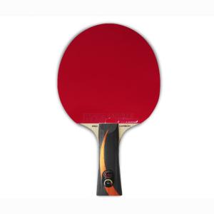Купить Теннисная ракетка Gambler x fast carbon X3D в Сосновыйборе 